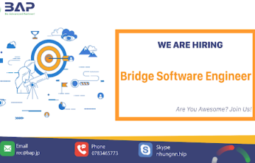 Bridge Software Engineer