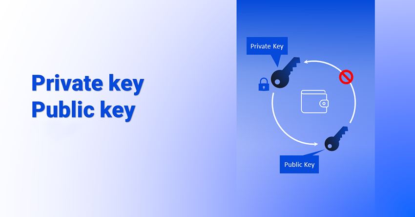 Public key and private key