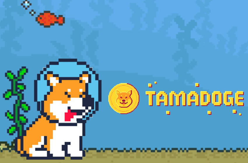 Tamadoge game