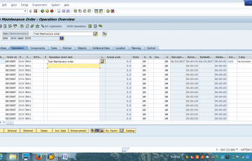 SAP maintenance and operations