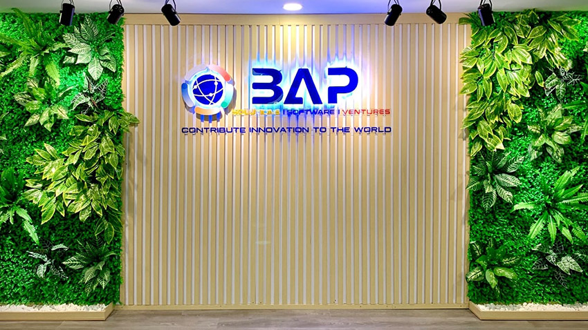 BAP Software - SaaS service 