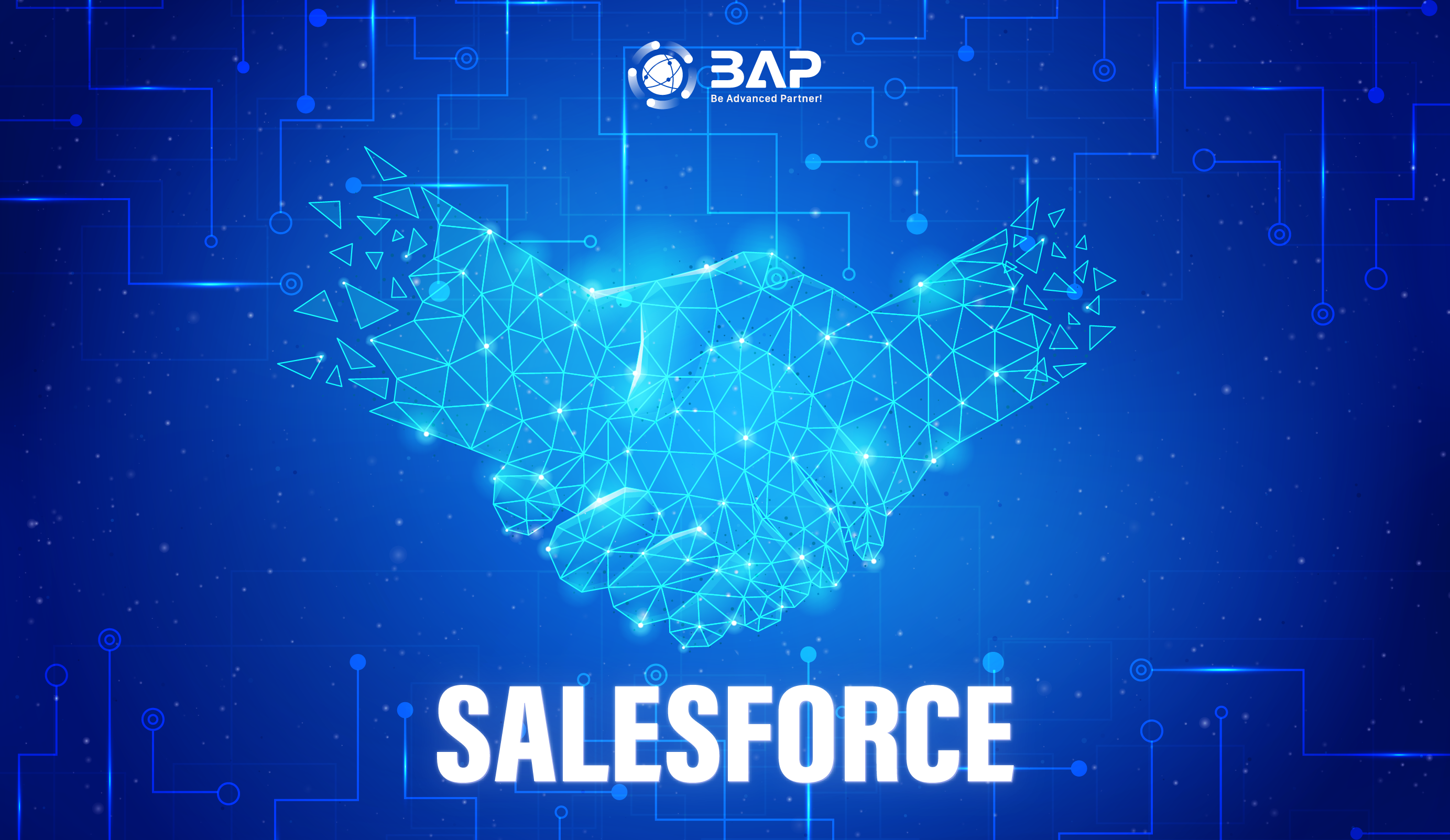 Salesforce Case study BAP Software