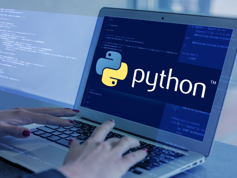 Python開発者 - デジタル時代のGen Zにおける詳細とキャリアの機会